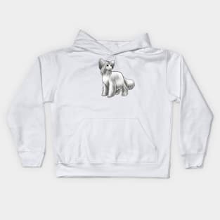 Dog - Chinese Crested - Powderpuff - White Kids Hoodie